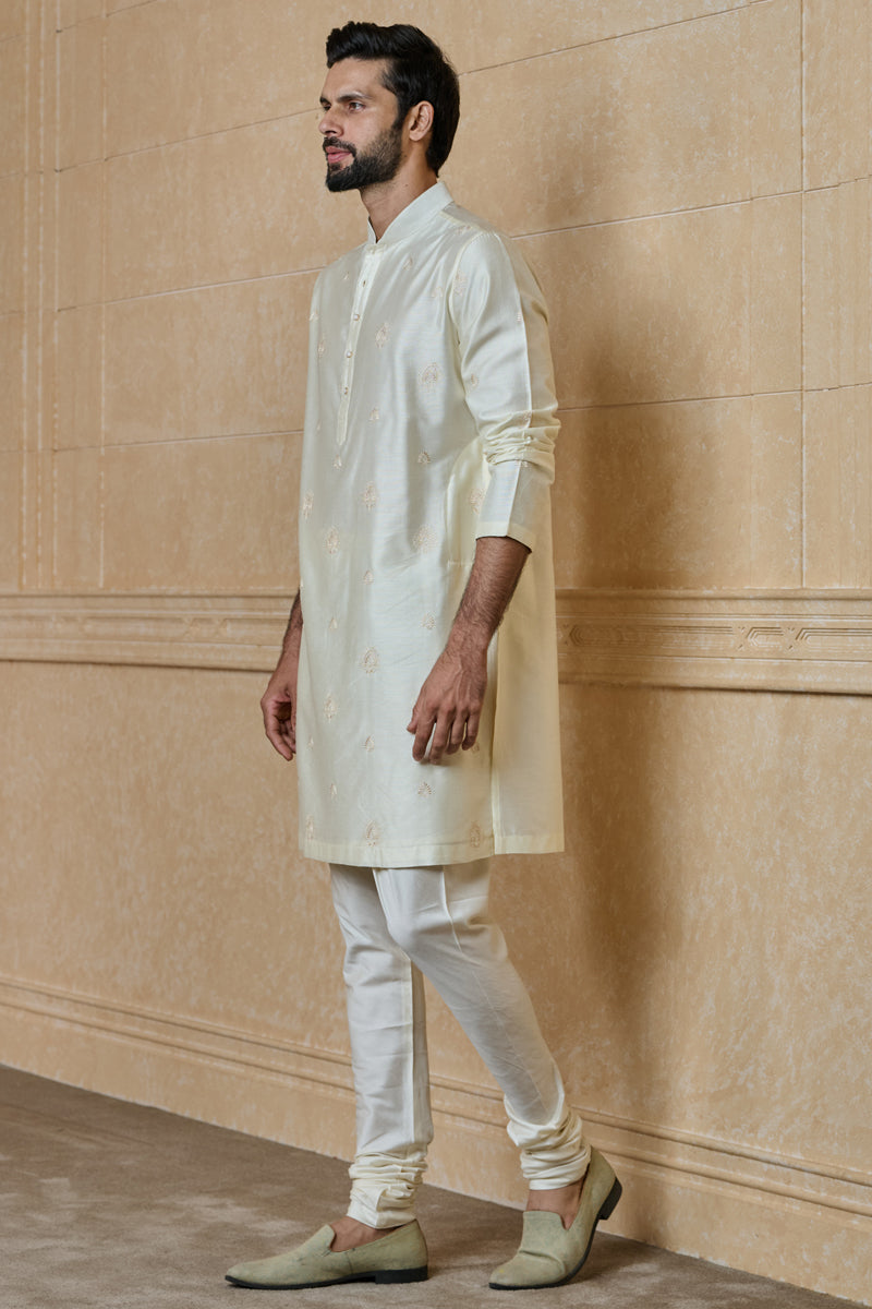 Ivory Butti Embroidered Kurta Set