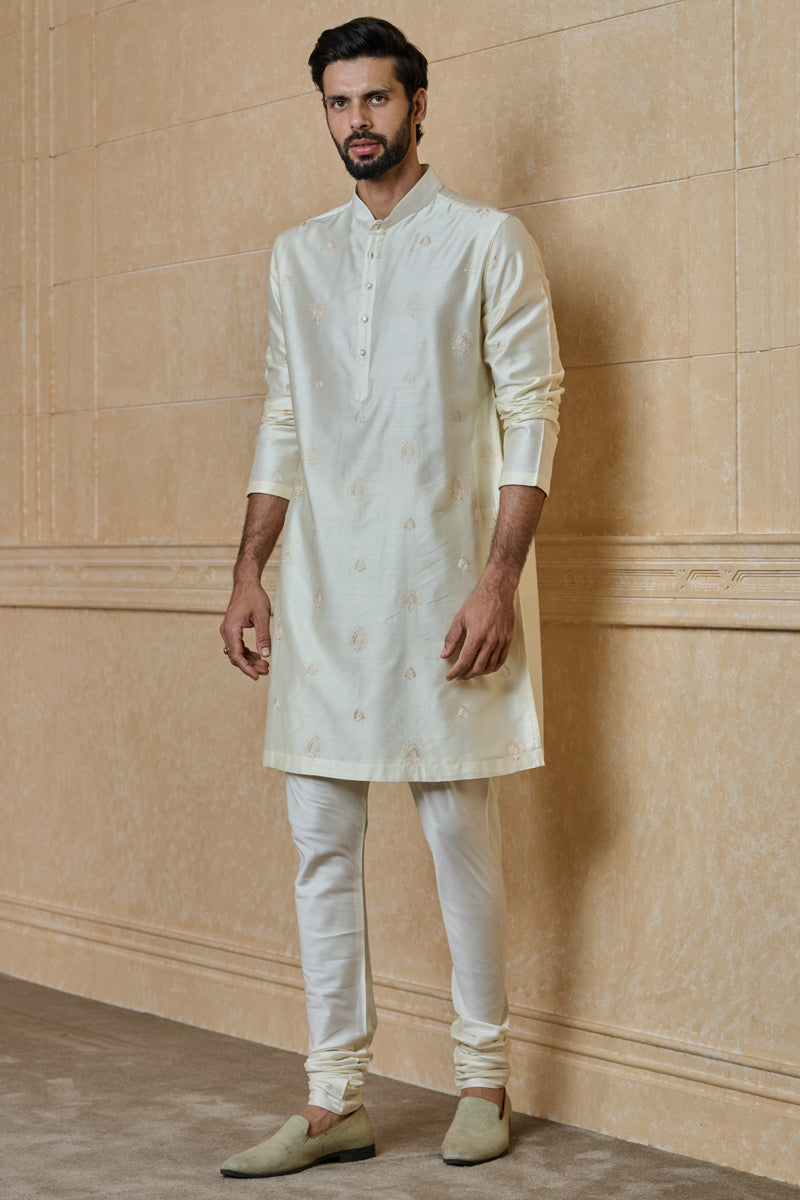 Ivory Butti Embroidered Kurta Set