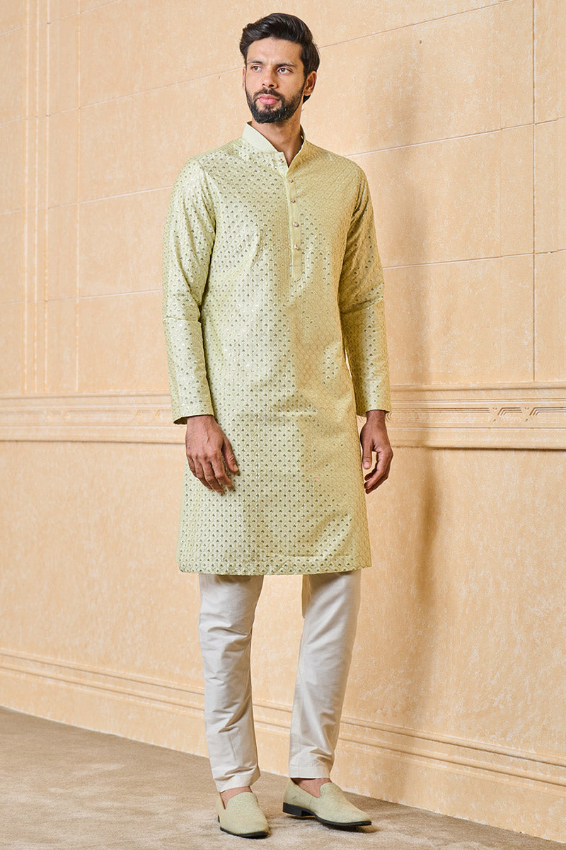 Light Green Kurta Set With Embroidery Highlights