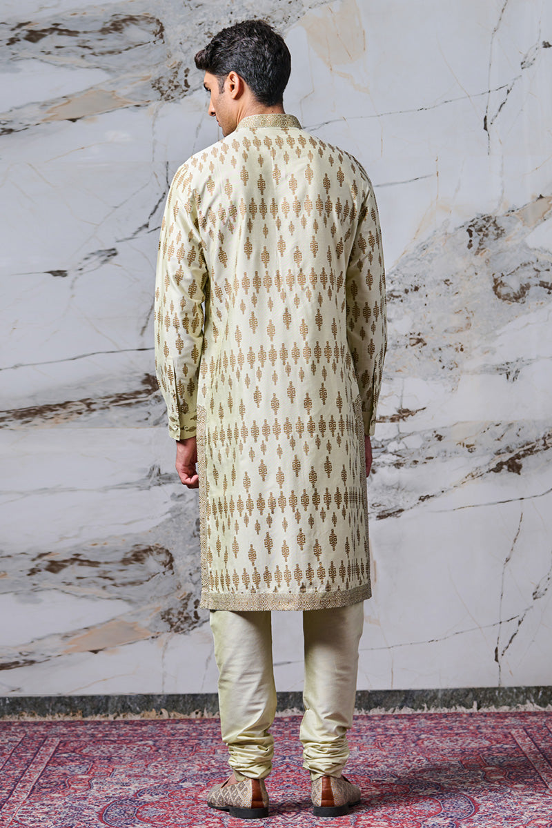 Light Green Printed Kurta Set