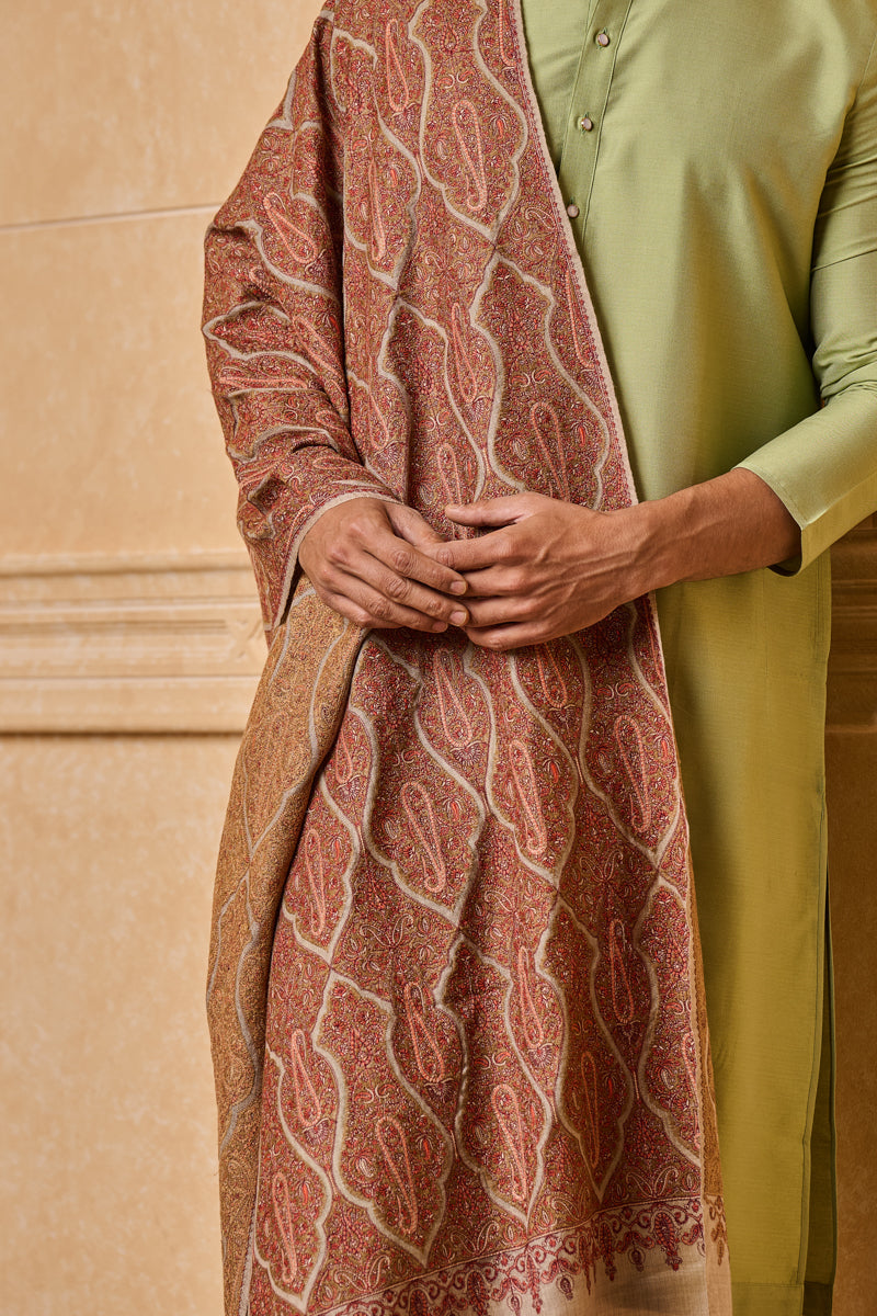 Brown All Over Embroidered Shawl