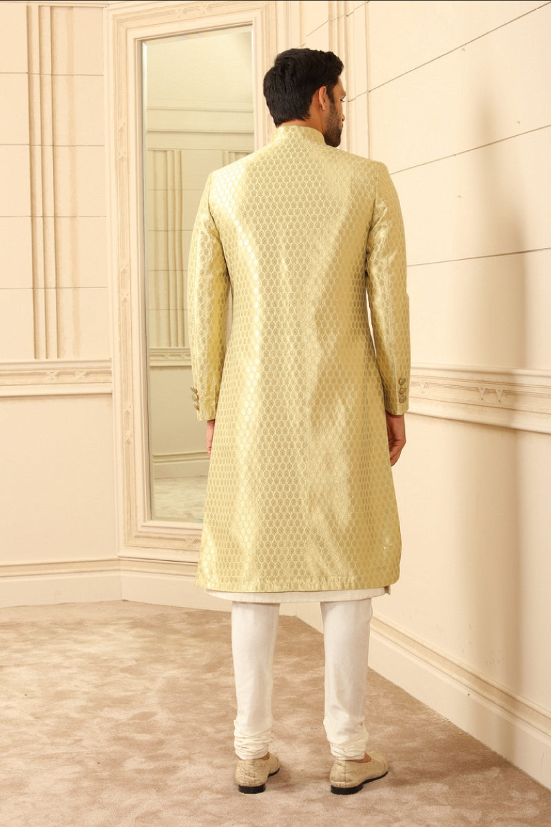 Light Green Zari Brocade Sherwani